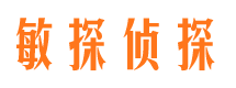 黔南市侦探公司